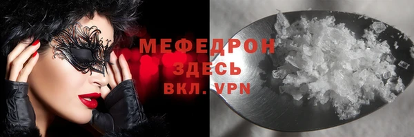 стаф Аркадак