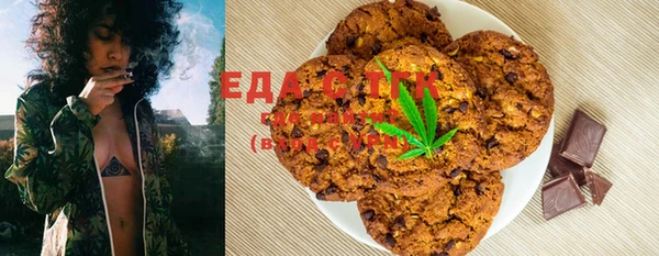 стаф Аркадак