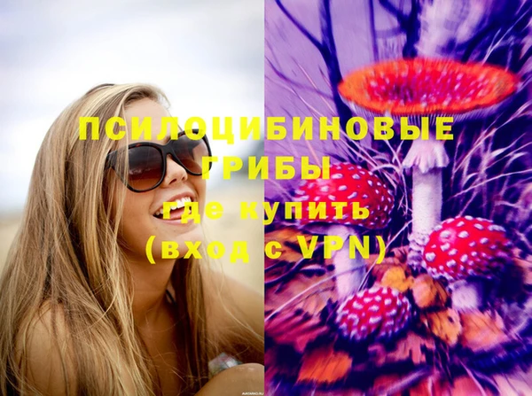 стаф Аркадак