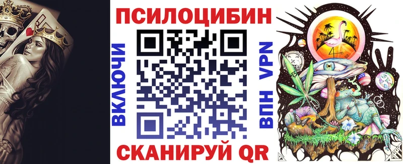 цена   Углич  Галлюциногенные грибы MAGIC MUSHROOMS 